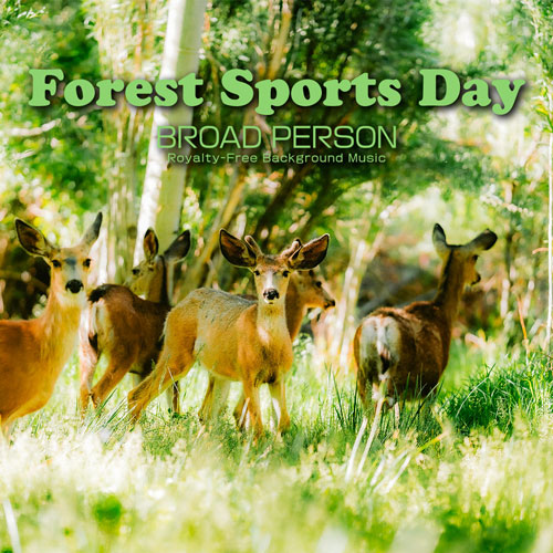 Forest Sports Day