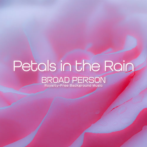 Petals in the Rain